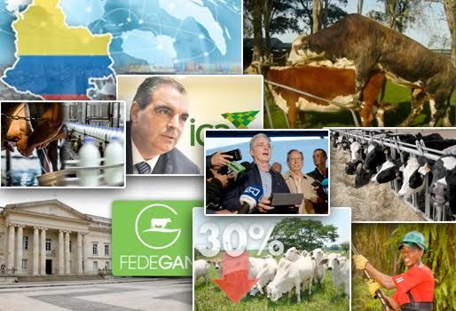 Lo invitamos a que se tome 5 minutos de su tiempo y le dé una necesaria lectura a los temas que fueron noticia en la Colombia rural. Foto: CONtexto ganadero. resumen de la semana
