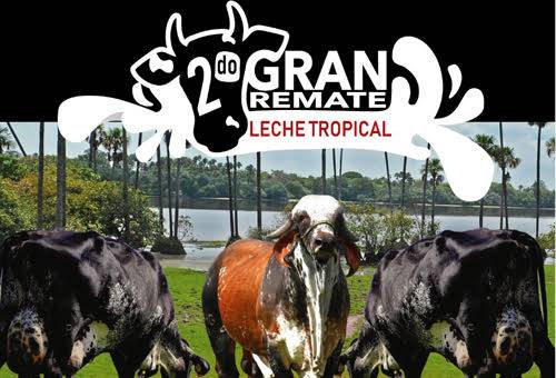 Ganadería, ganadería colombia, Ganadería colombiana, CONtexto ganadero, noticias ganaderas, noticias ganaderas colombia, segundo gran remate leche tropical, leche tropical, segundo gran remate villavicenncio, vía al Llano, el lacho, productores leche el llano, ganaderos el llano, ganaderos, ganaderos colombia