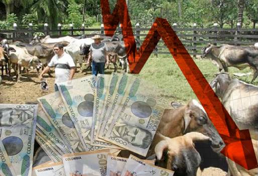 Créditos ganadería 2015 Finagro