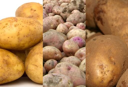 Desde Fedepapa ratificaron que no existe riesgo por un eventual desabastecimiento del tubérculo en Colombia. Foto: CONtexto ganadero. importaciones de papa colombia