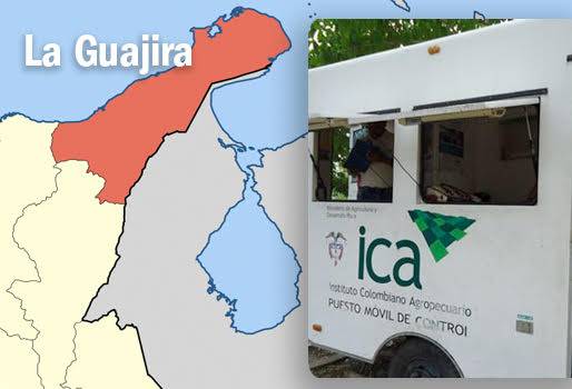 aftosa, Fiebre aftosa, aftosa colombia, brote de fiebre aftosa en colombia, ganadería La Guajira, ganaderos la guajira, CONtexto ganadero, ganadería colombia