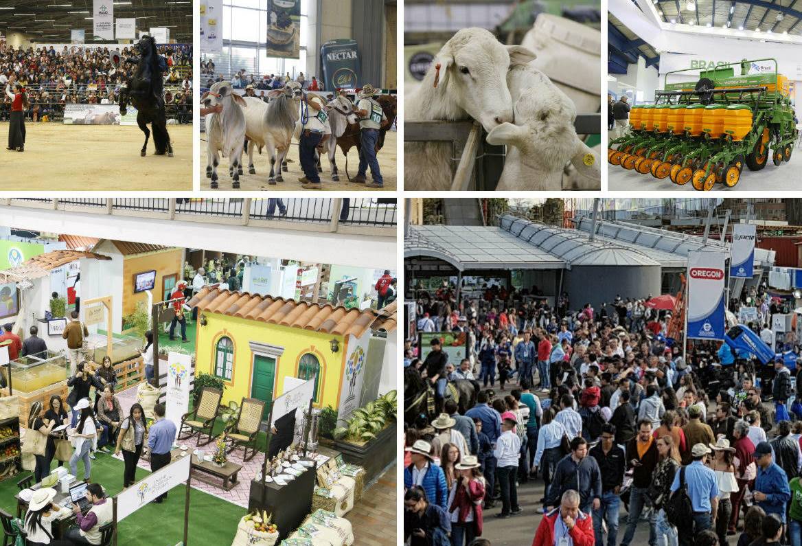 Agroexpo, agroexpo 2017, balance agroexpo 2017, ganadería colombia, Ferias y fiestas ganaderas, CONtexto ganadero