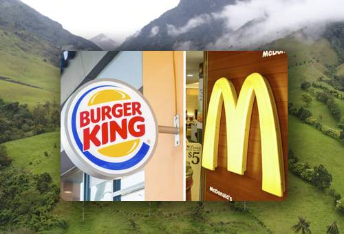 ganadería, ganadería colombia, noticias ganaderas, noticias ganaderas colombia, contexto ganadero, ganadería, mcdonalds, burger king, mcdonalds sostenible, burger king sostenible, mc donalds reduccion de gases, burger king reduccion de gases 