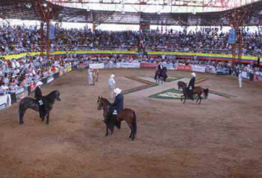Mundial de Jinetes y Amazonas
