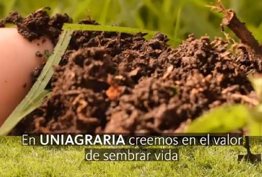 Uniagraria, Cinde, familias rurales, niños, niñas, desarrollo rural, propuesta, madrugadas rurales, familias como núcleo del desarrollo rural, potencial, identidades,k personas, territorios, expulsados, fotalecimiento, CONtexto ganadero la mejor información de la ganadería en Colombia.