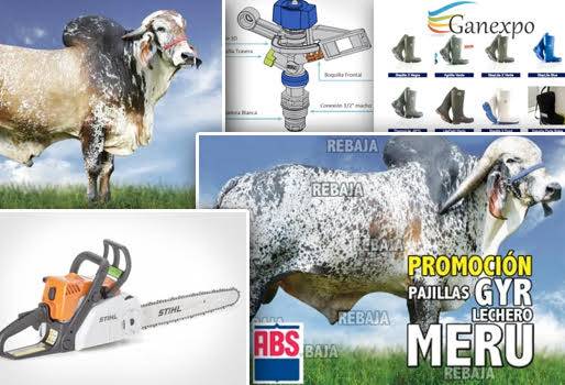 ganexpo, ganexpo 2016, promociones ganexpo, netafim, abs, stihl, toro merú, toro gengis khan, productos para ganaderos, ganexpo.co, ganadería colombia, contexto ganadero