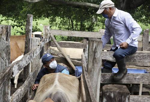 programa preventivo de veterinaria en el hato ganadero