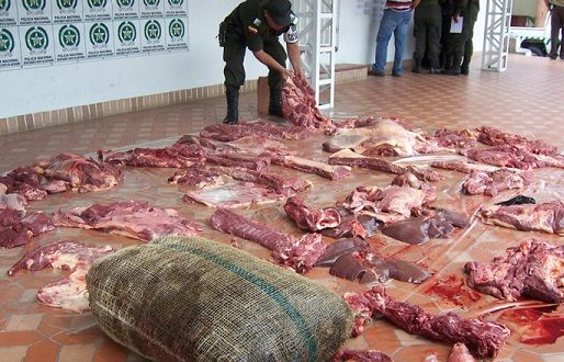Carne de contrabando, contrabando en colombia, carne de contrabando en cúcuta, ganadería, noticias ganaderas colombia, ganadería colombia, contrabando desde venezuela, contexto ganadero
