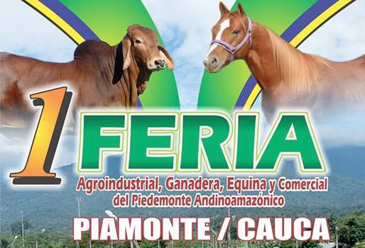 Feria ganadera en Piamonte, feria equina en Piamonte, exposición bovina en Piamonte, exposición equina en Piamonte, ganaderos de en Piamonte, Asociación de productores de ganado y equinos de Piamonte, Asoganequinos, CONtexto ganadero