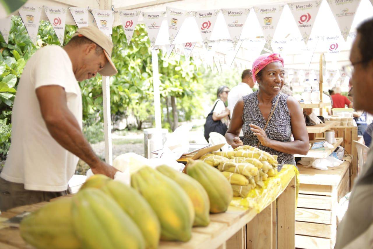 ganadería, ganadería colombia, noticias ganaderas, noticias ganaderas colombia, contexto ganadero, mercados campesinos, mercados campesinos bolívar, gobernación de bolívar, gobernador de bolívar, dumek turbay paz, 
