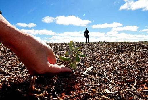 deficiencia de nutrientes, agricultura, Agricultura baja en emisiones, FAO, fertilizantes, nitrógeno, fósforo, potasio, calcio, magnesio, ¿Por qué usar nitratos y no urea?, impacto medioambiental, reducción de gases de efecto invernadero y su impacto al pH de los suelos, el calentamiento global, hoy se promueve el uso de la urea sobre los nitratos, huella de carbono, agricultura sostenible, Ganadería, ganadería colombiana, noticias ganaderas, noticias ganaderas Colombia, CONtexto ganadero