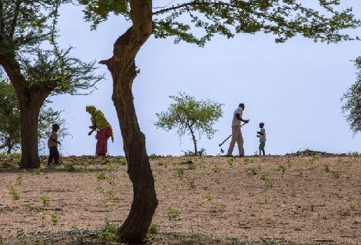 Organización de las Naciones Unidas para la Alimentación y la Agricultura (FAO), cambio climático, comercio internacional, el cambio climático alterará la capacidad de muchas regiones del mundo para producir alimentos, Organización Mundial del Comercio (OMC, Acuerdo de París, Ganadería, ganadería colombiana, noticias ganaderas, noticias ganaderas Colombia, CONtexto ganadero