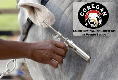 Ganadería, ganadería colombia, noticias ganaderas, noticias ganaderas colombia, CONtexto ganadero, cuarentena, cuarentena Colombia, COVID-19, Coregan, Ciclo de Vacunación, ciclo de vacunación 2020, medidas de bioseguridad, vacunadores ciclo de vacunación, cuidados vacunadores i ciclo de vacunación, ganaderos puerto berrio, preocupación ganaderos ciclo de vacunación, ganaderos, ganaderos colombia
