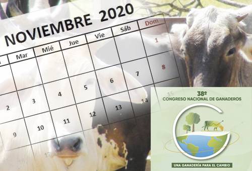 Eventos ganaderos noviembre 2020, 38 congreso ganaderos, Eventos ganaderos 2020, remates de ganado 2020, Ferias Ganaderas, ferias ganaderas colombia, subastas, inicio 2020, octubre 2020, Venta de ganado, subastas ganaderas, bovinos, vacas, eventos bovinos Colombia, ganado bovino, ganadería bovina, Ganadería, ganadería colombia, noticias ganaderas, noticias ganaderas colombia, CONtexto ganadero, contextoganadero