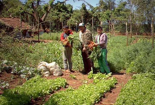 inversión campo colombiano