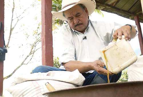 Finalización, ceba, ganado, Hacienda El Salitre, Meta, reducción, tiempo, alimento, concentrado, palmiste, harina de arroz, melaza, vitaminas, proteínas, engorde, ganancia de peso, ración, sal, suplemento, durabilidad, tóxico, Ganadería, ganadería colombia, noticias ganaderas colombia, CONtexto ganadero