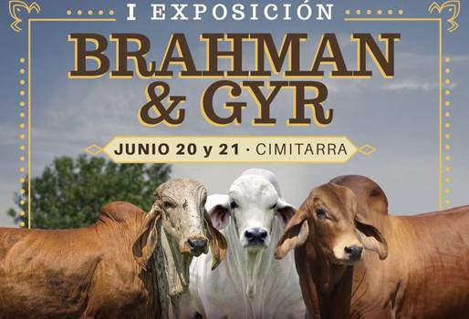 I Exposición Brahman y Gyr de Cimitarra, expo brahman, expo gyr, Exposición ganadera Cimitarra 2019, Eventos ganaderos junio 2019, cursos ganaderos, eventos ganaderos de 2019, ferias ganaderas de 2018, Ferias ganaderas Colombia junio 2019, ferias ganaderas Colombia 2019, ferias ganaderas junio 2019, ferias, Ferias Ganaderas, ferias Colombia, Eventos ganaderos, eventos ganaderos colombia, CONtexto ganadero, ganaderos colombia, ganadería colombia, noticias ganaderas colombia