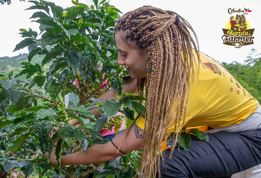 barista & farmer, reality italiano, barista & farmer italia, televisión italiana, café colombia, café de colombia, ganadería colombia, noticias ganaderas colombia, contexto ganadero