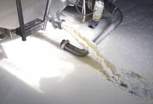 Ganadería, ganadería colombia, Ganadería colombiana, CONtexto ganadero, noticias ganaderas, noticias ganaderas colombia, lecherías, productores europeos, Europa, leche, tiran leche, producción leche europa, COVID-19, coronavirus, ganaderos españa, ganaderos Francia, ganaderos colombia, ganaderos