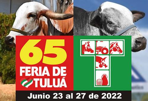 65 feria de tulua 2022