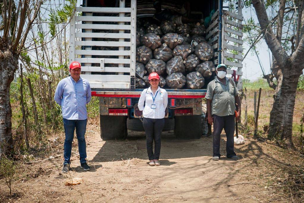 Cerveza a base de yuca, propuesta que toma fuerza en Sucre