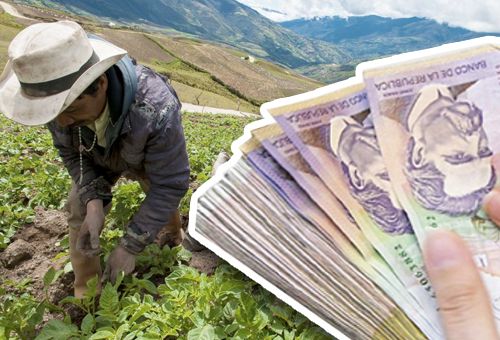 Banco Agrario, créditos, refinanciación, Pandemia, prórroga, productores, emergencia, Café, Aceite de palma, pagos, Superfinancier, Ganadería, ganadería colombia, noticias ganaderas colombia, CONtexto ganadero
