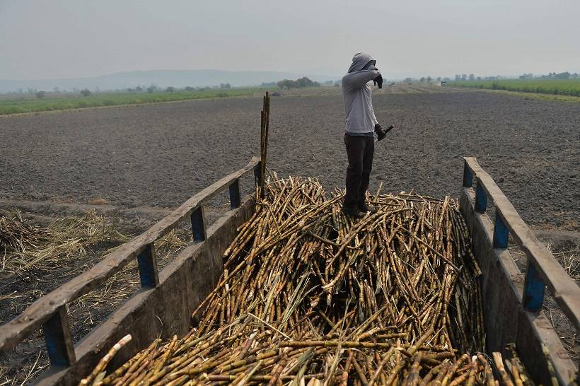 Revisión del Tratado de Libre Comercio de América del Norte (TLCAN), El endulzante que produce México puede quedarse varado en la frontera con Estados Unidos por un conflicto sobre el precio,  La industria estadounidense acusa a México de incurrir en dumping al exportar su azúcar más barato, CONtexto ganadero, Ganadería Colombia