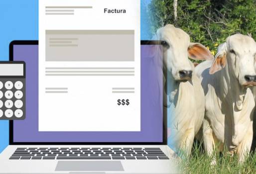 Colombia, impuestos, factura electrónica, ingresos de las empresas autorizadas, Ganadería, ganadería colombiana, noticias ganaderas, noticias ganaderas Colombia, CONtexto ganadero
