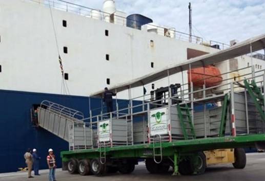 Colombia, exportaciones, exportaciones de bovinos, Irak, El Libano, exportaciones de bovinos a Irak y El Líbano, 13.000 bovinos zarparán hacia mercados de Irak y El Líbano, CONtexto ganadero, ganadería Colombia, Noticias ganaderas Colombia