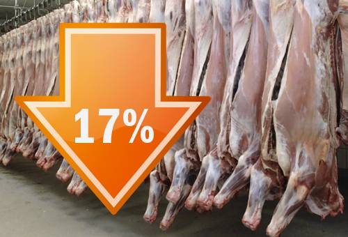 exportaciones, argentina, volumen, valor, precios, carne bovina, IPCVA, cortes vacunos, cortes enfriados sin hueso, cortes Hilton, cortes congelados sin hueso, China, Chile, Israel, estados unidos, rusia, Ganadería, ganadería colombia, noticias ganaderas colombia, CONtexto ganadero