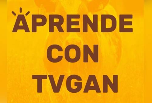 Aprende con TVGan