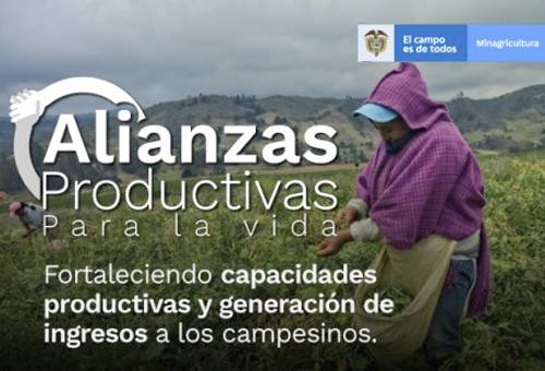 Alianzas Productivas, Minagricultura, Mujer Rural, Jóvenes Rurales, regionalización, capacidades productivas, generación de ingresos, productores rurales, aliados comerciales, Secretarías de Agricultura, Capital de Trabajo, capacitación, comercialización, gerencia y administración, Asistencia técnica, adecuación de tierras, acceso a tierra, cobertura de riesgos, Ganadería, ganadería colombia, noticias ganaderas colombia, CONtexto ganadero