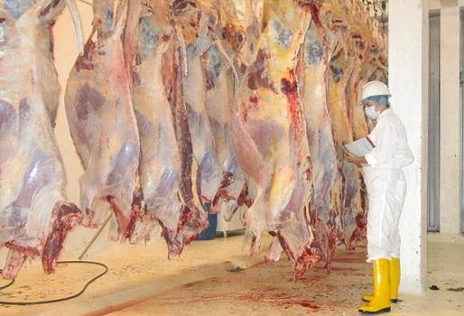 Planta beneficio La Mesa junio 2017, Plan Gradual Cumplimiento Decreto 1500 planta beneficio La Mesa Cundinamarca, autorización provisional planta La Mesa junio 2017, Sacrificio clandestino La Mesa, Asociación Ganaderos La Mesa, Asomegan, La Mesa planta de beneficio, planta de beneficio, abigeato La Mesa Cundinamarca, abigeato ganaderos La Mesa, CONtexto ganadero, ganaderos Colombia