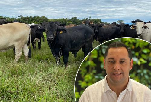 Francisco Andrade, de la finca La Carolina, y ganado brangus