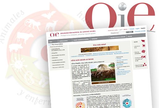 El portal reúne las herramientas creadas por la OIE para enfrentar los riesgos sanitarios internacionales. Foto: http://www.oie.int/es. oie salud animal, oie salud animal noticias, portal oie salud animal, oie salud animal riesgos, CONtexto ganadero