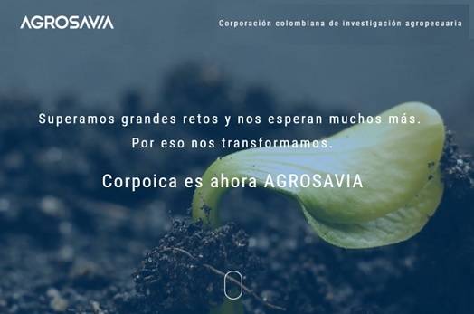 Amazonía, Grupo TOTAL, explotación petrolera en la Amazonía, Rechazan proyecto petrolero de Total en la desembocadura del Amazonas, Ganadería, ganadería Colombia, noticias ganaderas, noticias ganaderas Colombia, Contexto ganadero