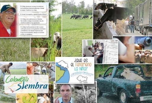 noticias sobre ganadería, noticias ganado colombia, noticias ganadería fedegán, lafauriir noticias ganadería, CONtexto ganadero