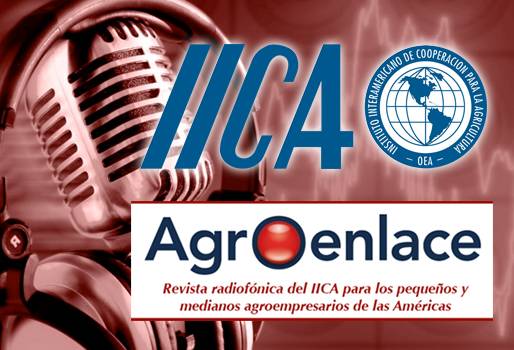 iica programa de radio