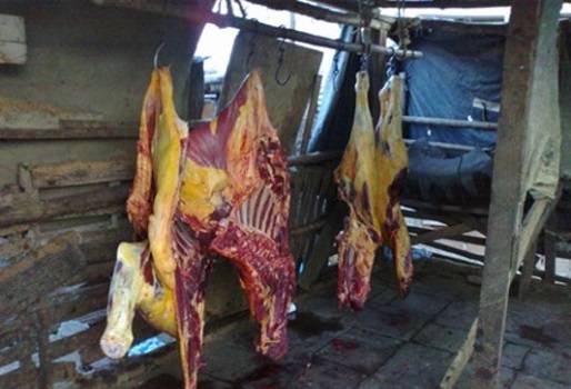 sacrificio clandestino, sacrificio clandestino valle del cauca, impuesto a la carne, impuesto a la carne en valle del cauca, dirección de rentas del valle del cauca, ganaderos del Valle, cogancevalle, secretaría de agricultura y pesca del valle, maría milena banguero, ilegalidad valle del cauca, CONtexto ganadero, ganadería colombia, 