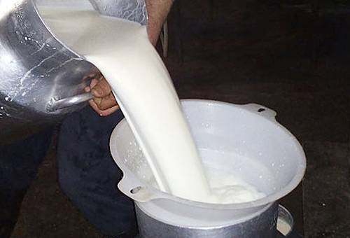 Ganaderos Sesquilé, productores leche Sesquilé, Ganaderos Cundinamarca, Quesos del Vecchio, Señora Vaca Cajicá, recolección leche, denuncia compra de leche en Cundinamarca, importación leche en polvo alpina, leche en polvo, compra de leche en cundinamarca, recolección leche en cundinamarca, industria lechera en cundinamarca, ganaderos, ganaderos colombia, ganado, bovinos, ganado bovino, Ganadería, ganadería colombia, noticias ganaderas, noticias ganaderas colombia, CONtexto ganadero, contextoganadero