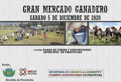 Mercado ganadero Firavitoba diciembre 2020, Firavitoba diciembre 2020, mercado ganadero, ferias ganaderas, venta de ganado, venta de ganado Boyacá, municipios provincia Sugamuxi Boyacá, venta de ganado Boyacá 2020, comprar ganado en Boyacá, ganaderos, ganaderos colombia, ganado, bovinos, ganado bovino, Ganadería, ganadería colombia, noticias ganaderas, noticias ganaderas colombia, CONtexto ganadero, contextoganadero