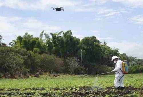 ganadería, ganadería colombia, noticias ganaderas, noticias ganaderas colombia, contexto ganadero, ganadería, medicion de metano, sidminución de emisiones, dieta alimenticia, expeller de soja, ensilaje de planta entera de maíz, grano de maíz  