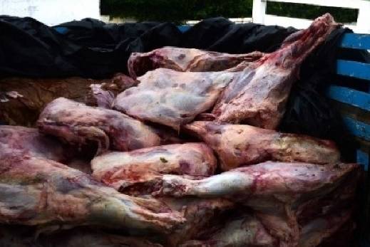 Carneo, contrabando de carne, Decreto 1500, enfermedades por mala manipulación de la carne de bovino, Los grandes riesgos de enfermedades graves en los humanos por el carneo, CONtexto ganadero, ganadería Colombia, Noticias ganaderas Colombia