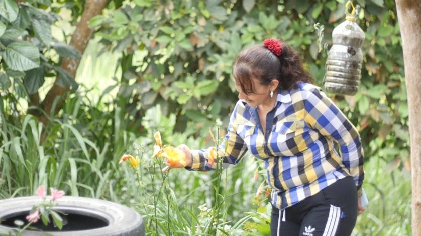 Ganadería, ganadería colombia, noticias ganaderas, noticias ganaderas colombia, CONtexto ganadero, CMBD, sistemas agroforestales sostenibles, Corporación Autónoma Regional para la Defensa de la Meseta de Bucaramanga, restauración ecológica, agroforestal sostenible, desarrollo rentable