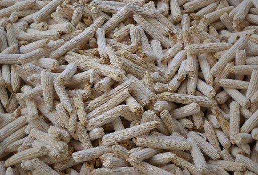 México, residuos agroindustriales, Universidad Autónoma de Coahuila (Uadec), CONtexto ganadero, ganadería Colombia, Noticias ganaderas Colombia