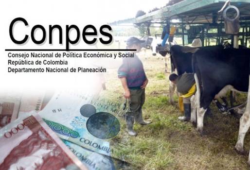 Conpes Nacional Lácteo, conpes lácteo noticias, conpes lácteo resultados, conpes lácteo colombia, conpes lácteo boyacá, conpes lácteo Cundinamarca, conpes lechero, conpes lechero resultado, conpes 3675 de 2010, conpes faltan recursos, conpes falta infraestructura y tecnología, conpes se ha politizado, CONtexto ganadero, ganaderos colombia