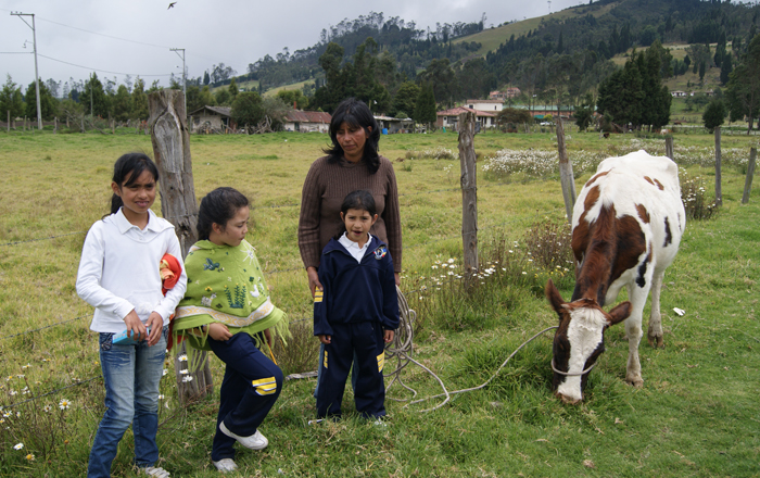Con una vaca empieza el cambio: vea si usted puede unirse al programa que  transforma vidas en el campo | CONtexto Ganadero