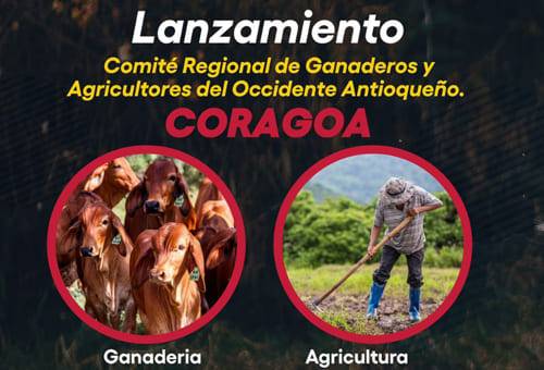 Comité de ganaderos y agricultores, occidente antioqueño, esfuerzos, beneficios, productores, Coragoa, asociaciones, Codegán, Dabeiba, Asociación de Lecheros, Cañasgordas, Aproleca, Fertillal, Peque, Buriticá, Abreaquí, Frontino, Heliconia, Cámara de Comercio, Sopetrán, Santafe de Antioquia, minifundios, cabezas de ganado, Ciclo de Vacunación, aftosa, predios, proyectos, Sena, capacitación, universidad nacional, Politécnico Jaime Isaza Cadavid, investigación, Ganadería, ganadería colombia, noticias ganadera