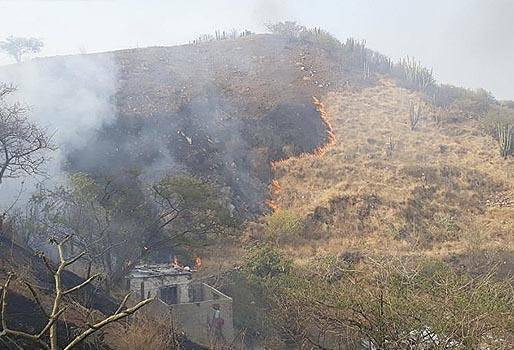 Ganadería, ganadería colombia, noticias ganadera colombia, CONtexto ganadero, incendios, altas temperaturas, Magdalena, sequias, Verano, pocas lluvias, agricultores, Siembra, quemas, Precipitaciones, ganaderos, ganaderos colombia, campesinos afectados, afectados, ganaderos afacetados incendios, Santa Marta, corregimiento minca, vereda don jaca