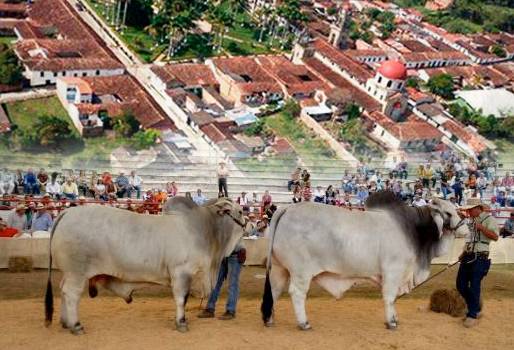 Feria, ganadera, ganado, exposición, muestra, comercial, cultural, Guadalupe, Santander